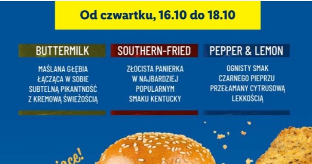Nowość w Lidlu! Fishburgery w 3 smakach /Lidl /INTERIA.PL