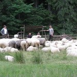 Nowotarska Strefa Aktywności Gospodarczej bez podatku