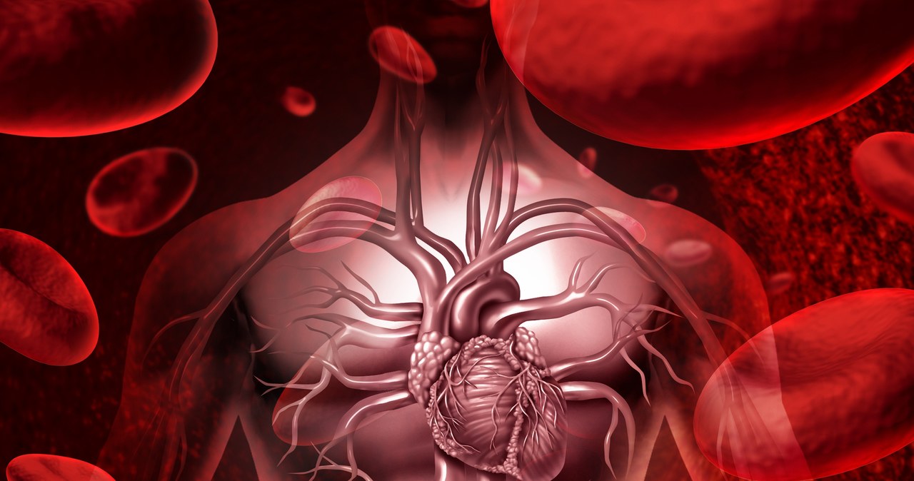 Nowotwory złośliwe serca są bardzo rzadkie i bardzo podstępne /123RF/PICSEL
