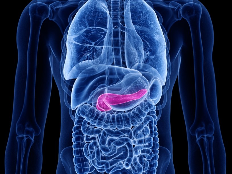 Nowy biomateriał dla chorych na cukrzycę typu 1