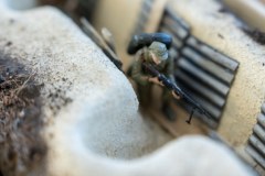 Nowy budynek muzeum i Centrum Obsługi Zwiedzających na terenie Westerplatte