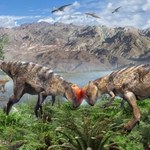 Nowy dinozaur znaleziony w Mongolii. Walił z główki, nie zastanawiał się