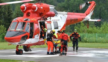 Nowy dokument pojawia się w mObywatelu. Kolejna grupa zyska e-legitymację