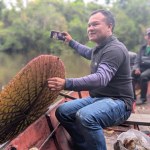 Nowy gatunek gigantycznej lilii wodnej odkryli dzięki Instagramowi