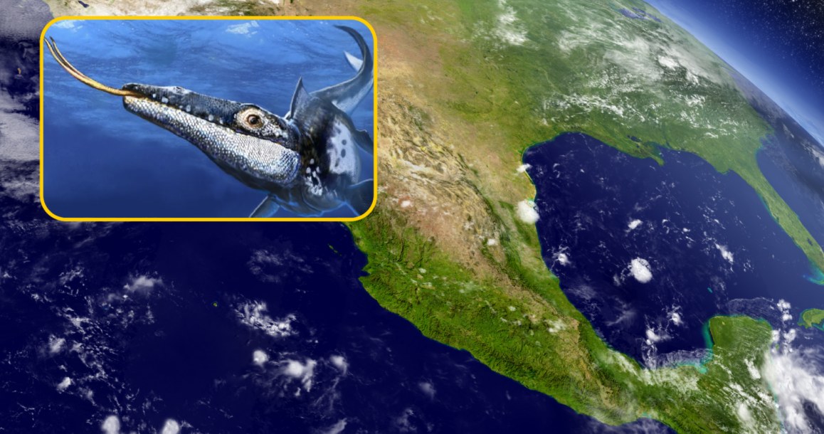 Nowy gatunek morskiego zwierzęcia został odkryty w Meksyku /Facebook: IFLScience; credit: Illustration © Luis Rey 2023 /123RF/PICSEL
