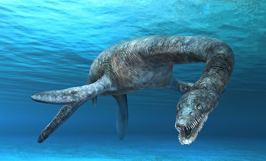 Nowy gatunek pradawnego plezjozaura odkryty w Niemczech. Przełomowe znalezisko sprzed 183 milionów lat /East News