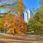 ​Nowy Jork: Tak ciepło nie było... nigdy