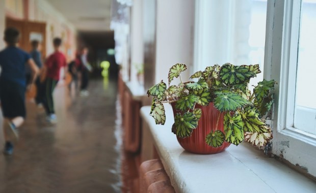 Nowy kalendarz szkolny. Ważne terminy i zmiany w organizacji ferii 