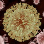 Nowy lek do walki z wirusami