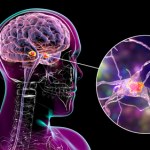 badania Nowy lek hamuje Alzheimera. Bohaterski pilot z rzeki Hudson też z nim walczy