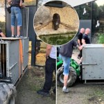 Nowy mieszkaniec krakowskiego zoo już jest sensacją. "Mega niespodzianka"