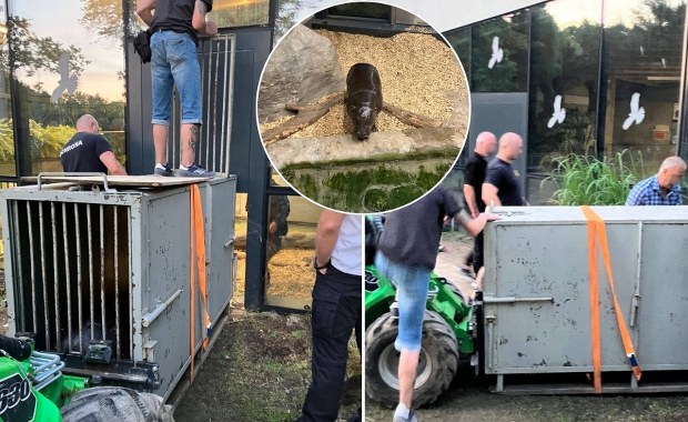 Nowy mieszkaniec krakowskiego zoo już jest sensacją. "Mega niespodzianka"