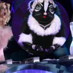 The Masked Singer Nowy muzyczny program z gwiazdami w TVN! W Stanach jest hitem. Kto wystąpi w polskiej wersji?