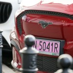 Nowy obowiązek. Kto musi zmienić tablice na różowe?