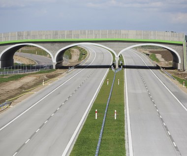 Nowy odcinek Via Baltica wkrótce otwarty. Podano termin 