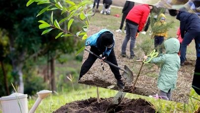 Nowy park w Kaliszu. Mieszkańcy zasadzili 100 drzew