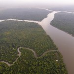Nowy prezydent Brazylii: koniec z degradacją Amazonii