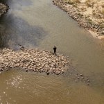 Nowy próg na Wiśle może pogłębić problem suszy. Ekolodzy alarmują