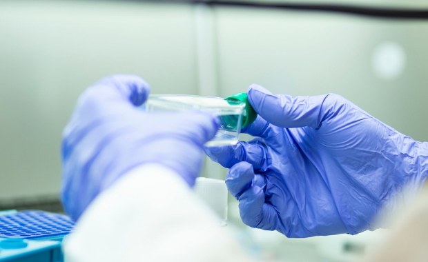 Nowy przypadek groźnego pasożyta u człowieka