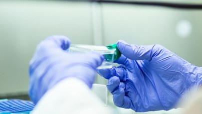 Nowy przypadek groźnego pasożyta u człowieka