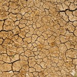 Nowy raport IPCC pokazuje katastrofalne skutki zmian klimatu, które mają miejsce już teraz