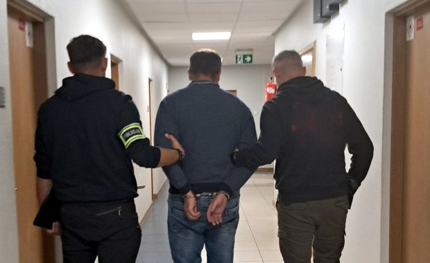 Nowy sposób oszustów - "na krowy mleczne". Ludzie stracili ponad 8 mln złotych 