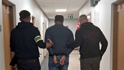 Nowy sposób oszustów - "na krowy mleczne". Ludzie stracili ponad 8 mln złotych 