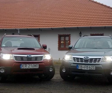 Nowy stary forester