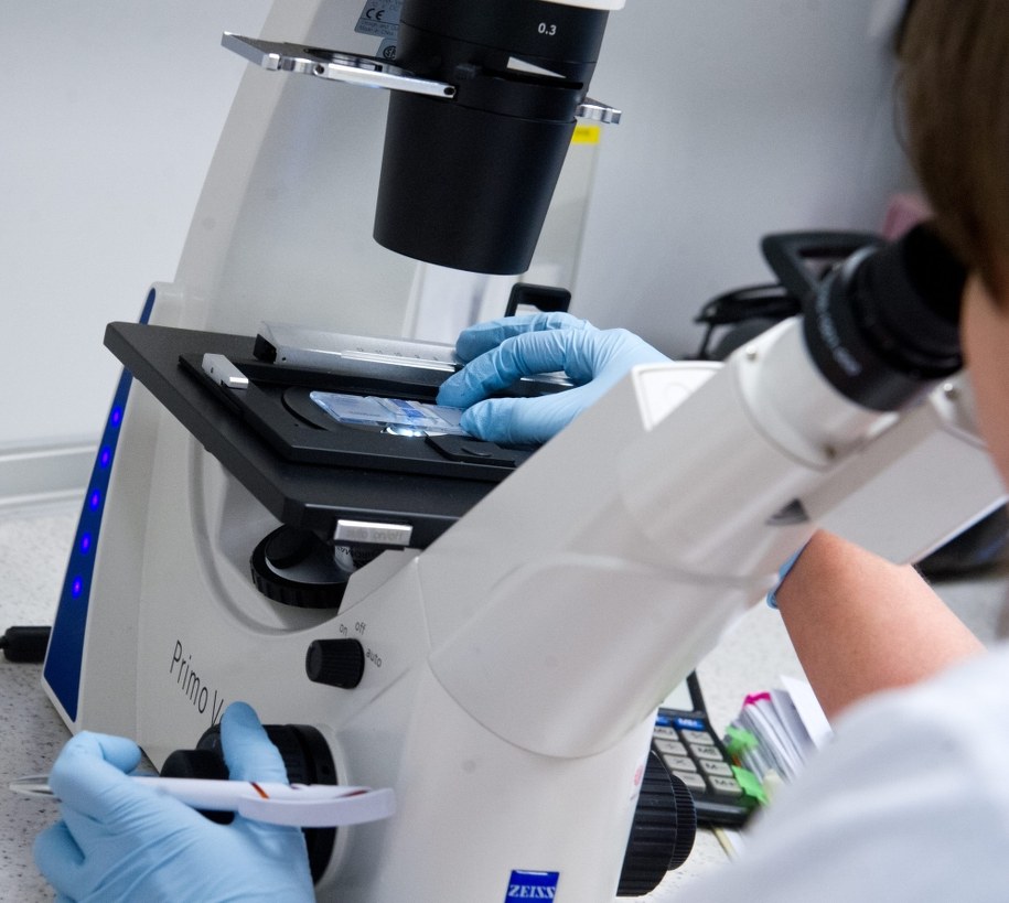 Nowy szczep jest na razie odporny na antybiotyki /Grzegorz Michałowski /PAP