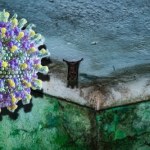 Nowy, tajemniczy wirus. Trop prowadzi do nietoperzy