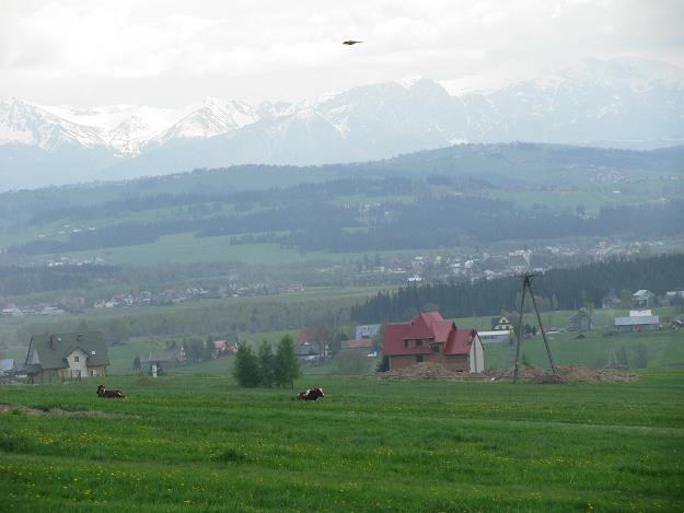 Nowy Targ czeka na geotermalne ciepło Nowy Targ czeka na geotermalne ciepło /INTERIA.PL