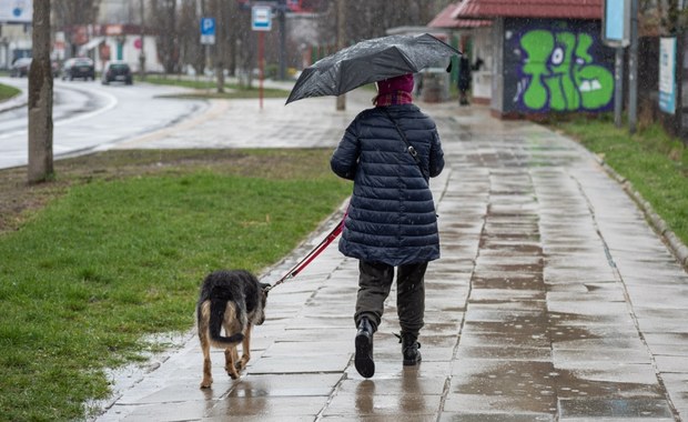 Nowy tydzień w pogodzie: Deszcz i nawet 12 stopni. A potem ochłodzenie...