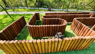 Nowy wybieg dla psów w Krakowie już otwarty. Sprawdź, gdzie pojawią się kolejne 