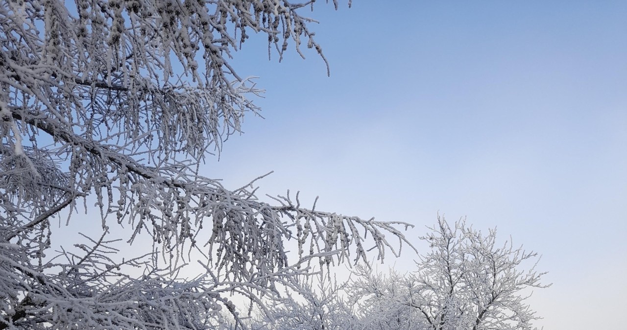 Nowy (Zimowy) Rok na Jurze