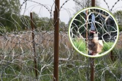 Nóż, dzida i rozbita butelka. Ataki migrantów na polskie służby