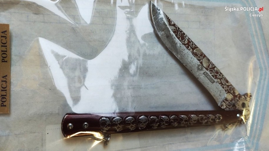 Nóż, którego użyli sprawcy /Shutterstock