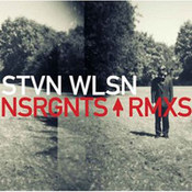 Steven Wilson: -Nsrgnts Rmxs