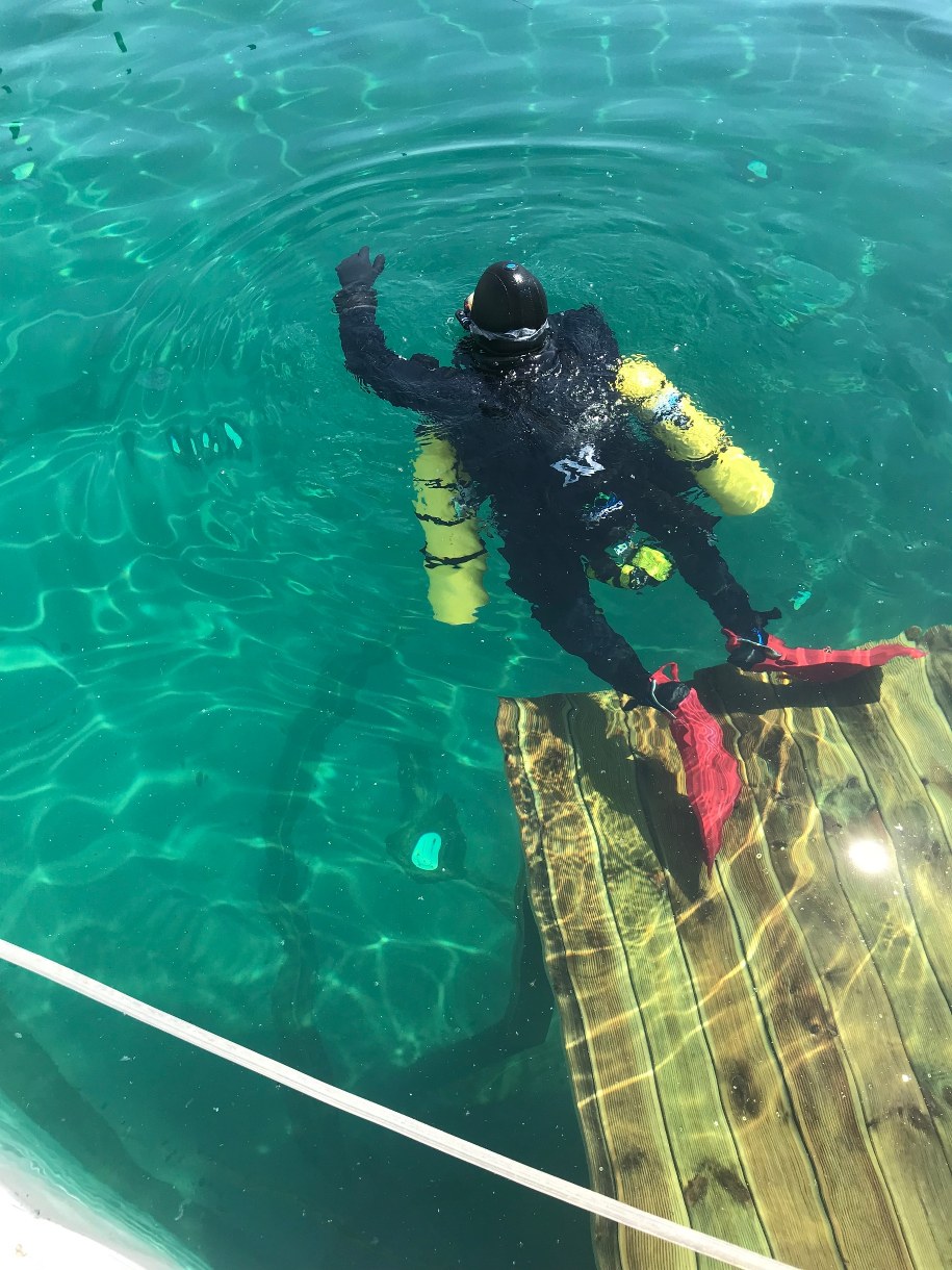 Nurek szkolący się w ośrodku w Pszczynie /Marcin Buczek /RMF FM