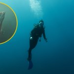 Nurkowie zobaczyli „Posłańca”. Tajwan zostanie dotknięty przez katastrofę?