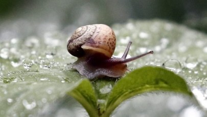 O 16:21 rozpocznie się astronomiczna jesień. W górach spadł śnieg!