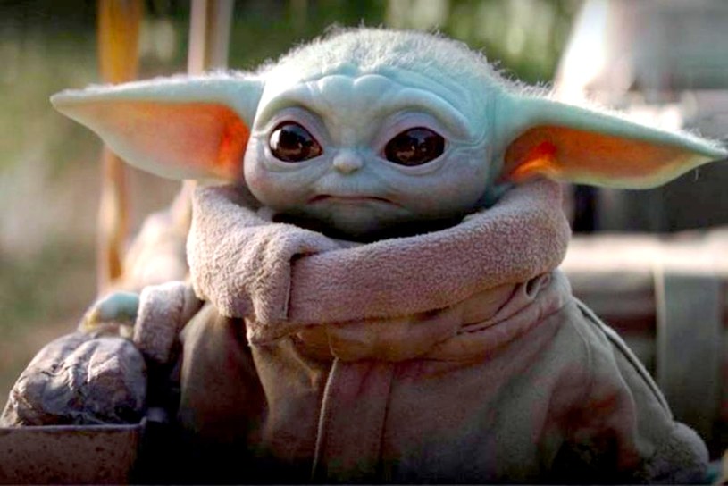 O Baby Yodzie wciąż jest głośno /Caters News Agency   /Agencja FORUM