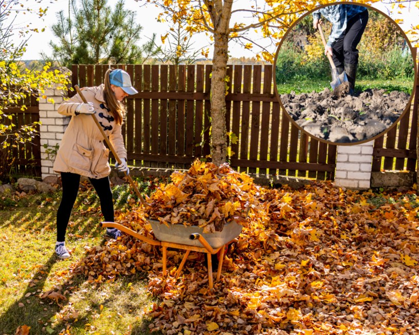 O jakie prace ogrodowe trzeba zadbać jesienią? /Pixel