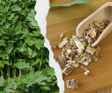 O jedną dokładkę za daleko? Miej pod ręką, gdy dokuczają wzdęcia i niestrawność