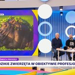 O konkursie na najzabawniejsze zdjęcia zwierząt i profesjonalnej fotografii