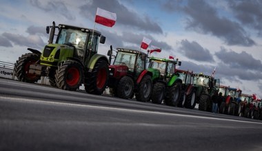 O krok od umowy z Mercosurem. "Dla polskiego konsumenta zmieni się niewiele"