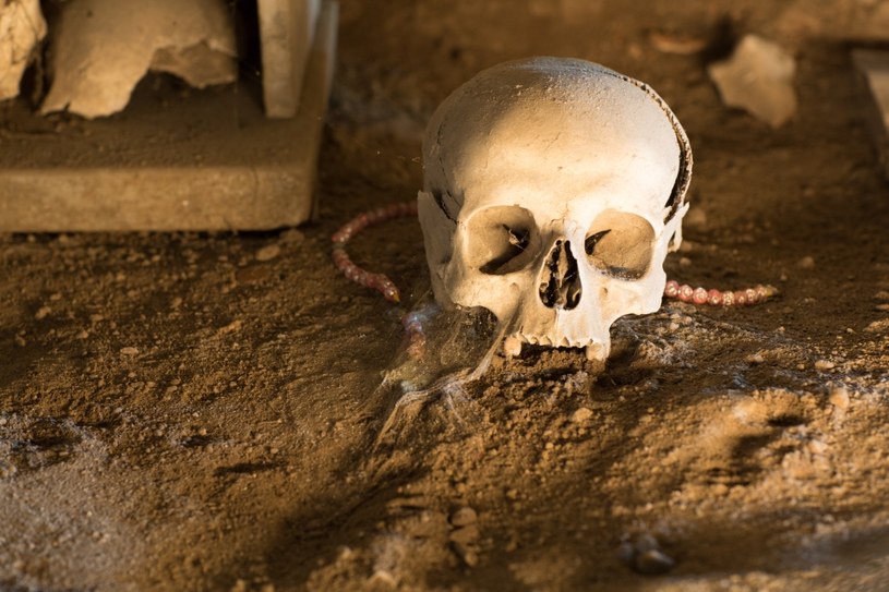 O odkryciu poinformował w poniedziałek 29 maja Pompejski Park Archeologiczny /123RF/PICSEL