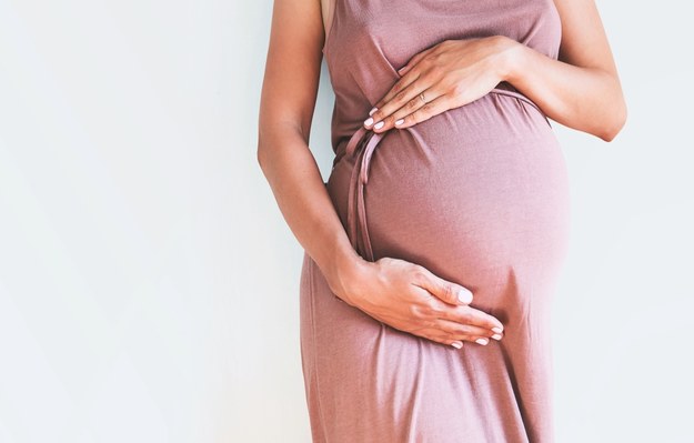 O "rejestrze ciąż" krytycznie mówili w ostatnich dniach m.in. politycy opozycji. /Shutterstock