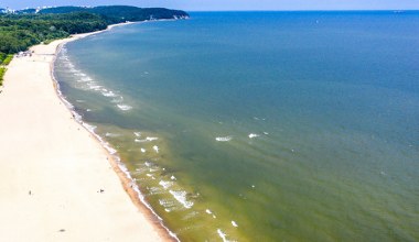 O tej porze regularnie pojawiają się w Bałtyku. Tak poznasz, że w wodzie kwitną sinice