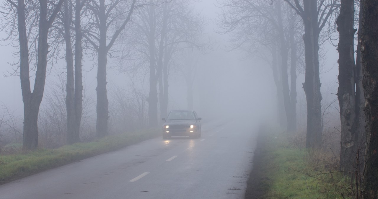 O tym, kiedy kierowca powinien włączyć światła przeciwmgielne, mówią jasno przepisy //123RF/PICSEL /123RF/PICSEL