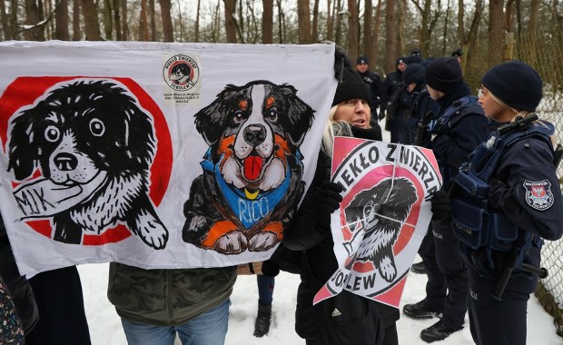 O tym schronisku głośno było w całej Polsce. Jest wyrok dla właściciela